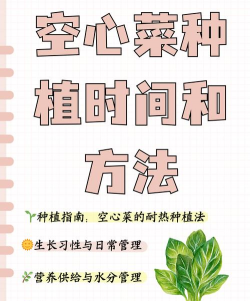 空心菜的种植时间和方法