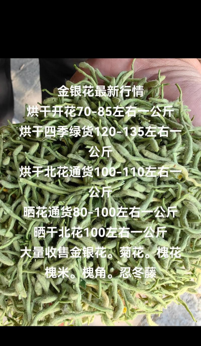 金银花价格