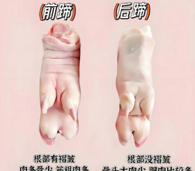 小众送妈妈的花有哪些花