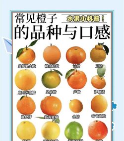 沃柑是橘子还是橙子