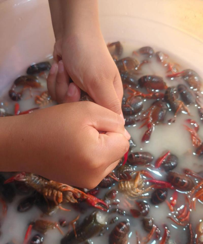 如何在家养小龙虾