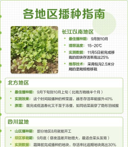 北方榨菜种植时间和方法 北方榨菜种植时间和方法