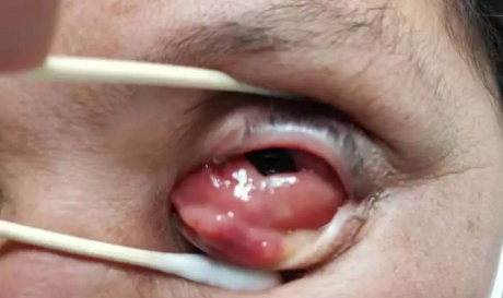 小众送妈妈的花有哪些花