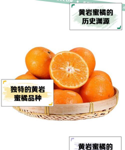 黄岩蜜桔几月成熟