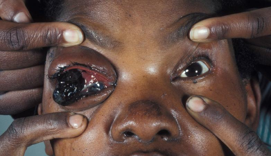 小众送妈妈的花有哪些花