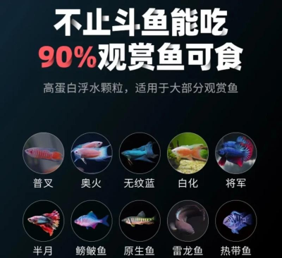 斗鱼吃什么饲料