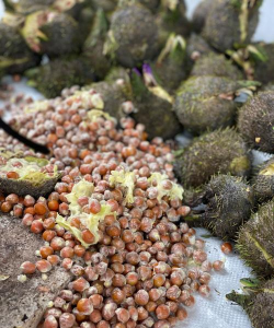 小众送妈妈的花有哪些花