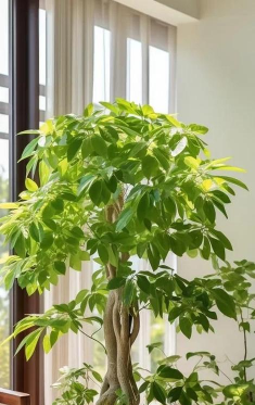 小众送妈妈的花有哪些花