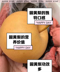 圆黄梨品种介绍