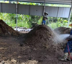 小众送妈妈的花有哪些花