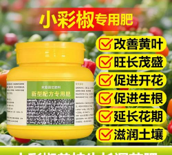 辣椒树什么肥料 辣椒树什么肥料