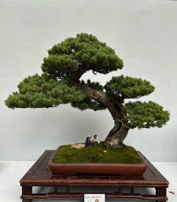 小众送妈妈的花有哪些花