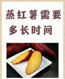 红薯什么时间出 红薯什么时间出