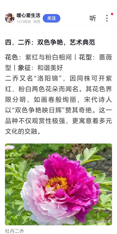 小众送妈妈的花有哪些花