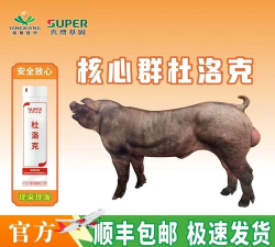 扬翔猪精多少钱