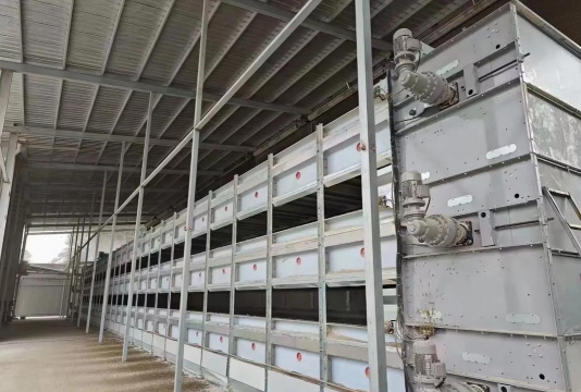 小众送妈妈的花有哪些花