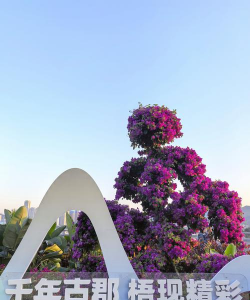 小众送妈妈的花有哪些花