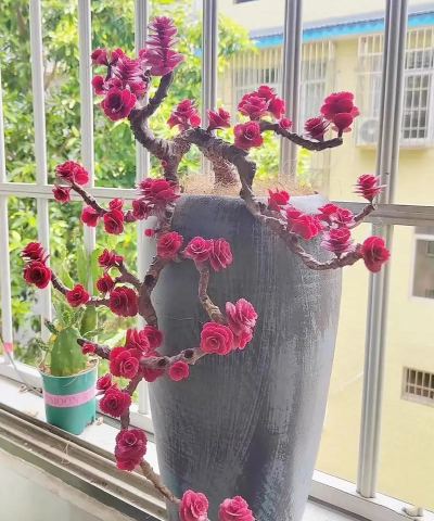 小众送妈妈的花有哪些花