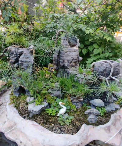 小众送妈妈的花有哪些花