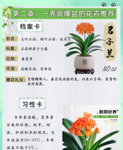 小众送妈妈的花有哪些花