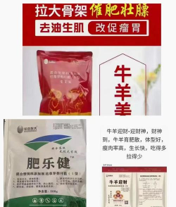 育肥羊怎么用催肥药