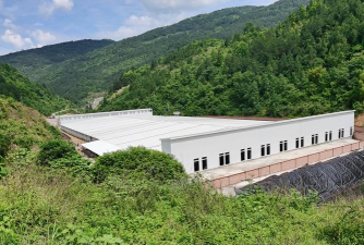 小众送妈妈的花有哪些花