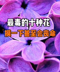 什么植物有毒会致死