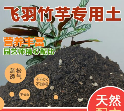 小众送妈妈的花有哪些花