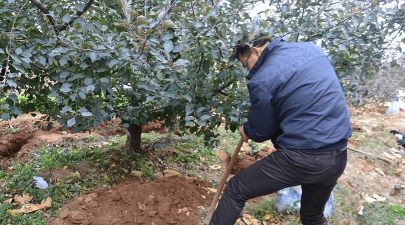 小众送妈妈的花有哪些花