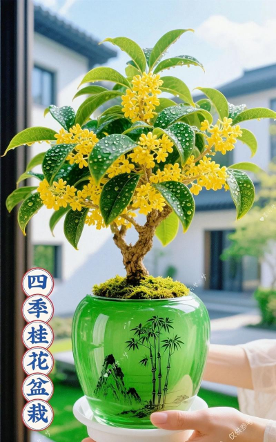 小众送妈妈的花有哪些花