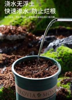 小众送妈妈的花有哪些花