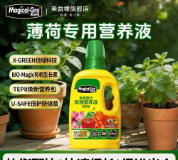 小众送妈妈的花有哪些花