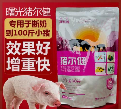 猪尔健多少钱一 猪尔健多少钱一