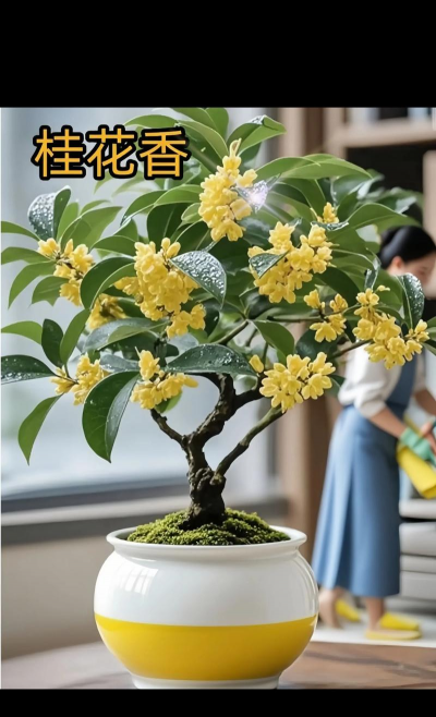 小众送妈妈的花有哪些花