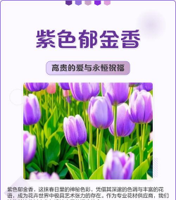 小众送妈妈的花有哪些花