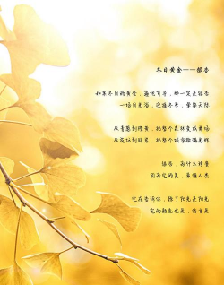 银杏叶的花语