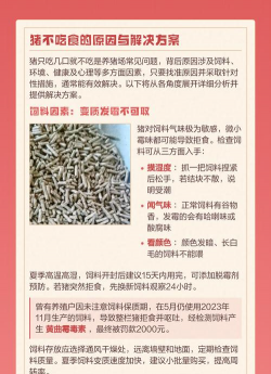 猪突然不食怎么治疗