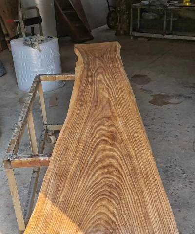 榆木有哪些种类