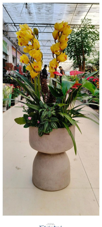 小众送妈妈的花有哪些花