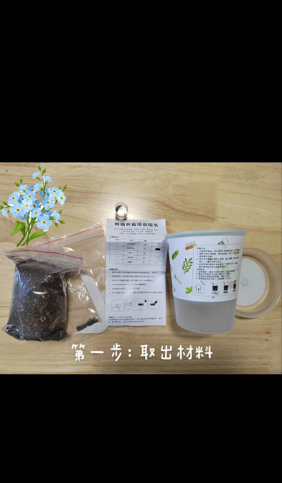 小众送妈妈的花有哪些花