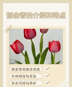 小众送妈妈的花有哪些花