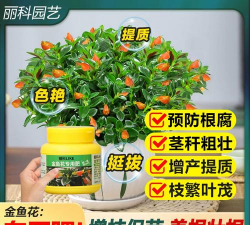 小众送妈妈的花有哪些花