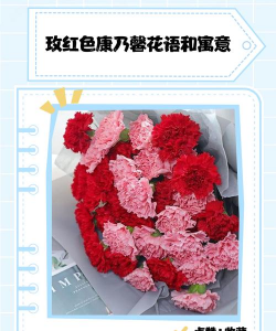 小众送妈妈的花有哪些花