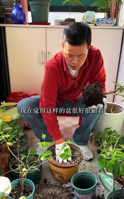 小众送妈妈的花有哪些花