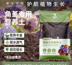 小众送妈妈的花有哪些花