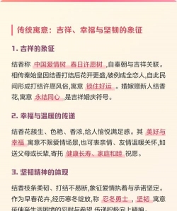 小众送妈妈的花有哪些花