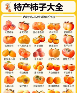 柿子的种类有哪些