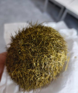 小众送妈妈的花有哪些花