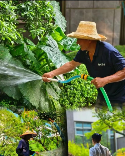 小众送妈妈的花有哪些花