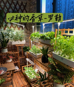 小众送妈妈的花有哪些花